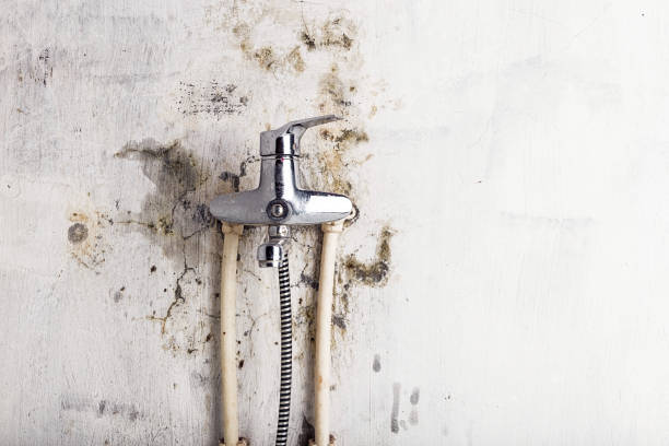 Best Mold Remediation  in Miamitown, OH