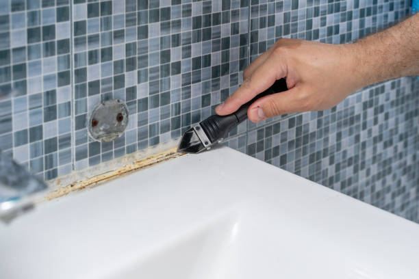 Best Mold Removal and Inspection  in Miamitown, OH